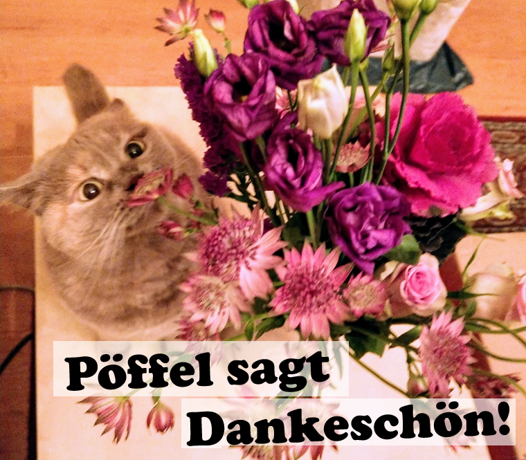 Fundraiser Sophie Puffle Pöffel for Fellnasen e.V. Furry Noses Non-Profit Donate today Bitte spenden