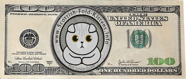 Scottish Fold Kitten info logo donation 100 dollar bill Faltohr Kätzchen Katze Kater logo geldschein spenden