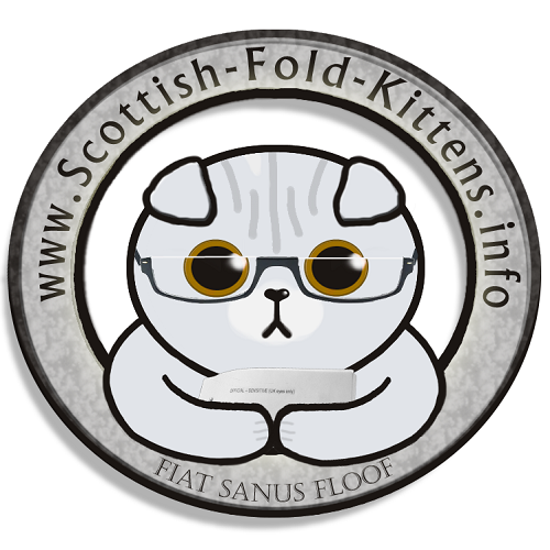 Scottish Fold Kitten info logo imprint Faltohr Kätzchen Katze Kater logo impresusm